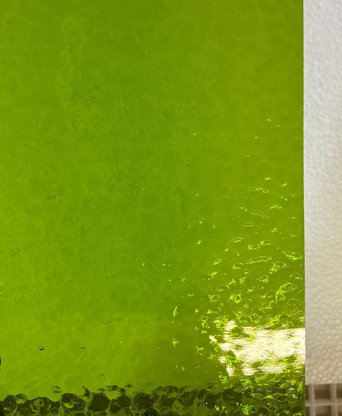 12" x 12" - Medium Chartreuse Green Corella Classic (Wissmach 1146 CC)