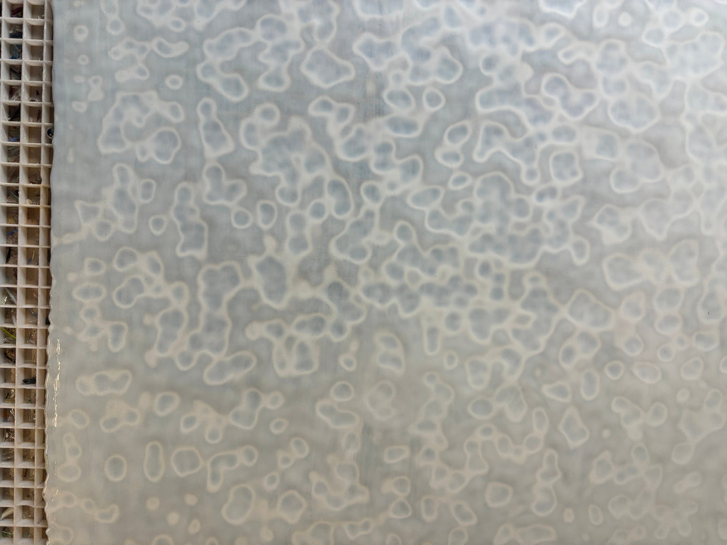 8”x6” Honey Amber Mottle (Uroboros 00-33) *OLD STOCK