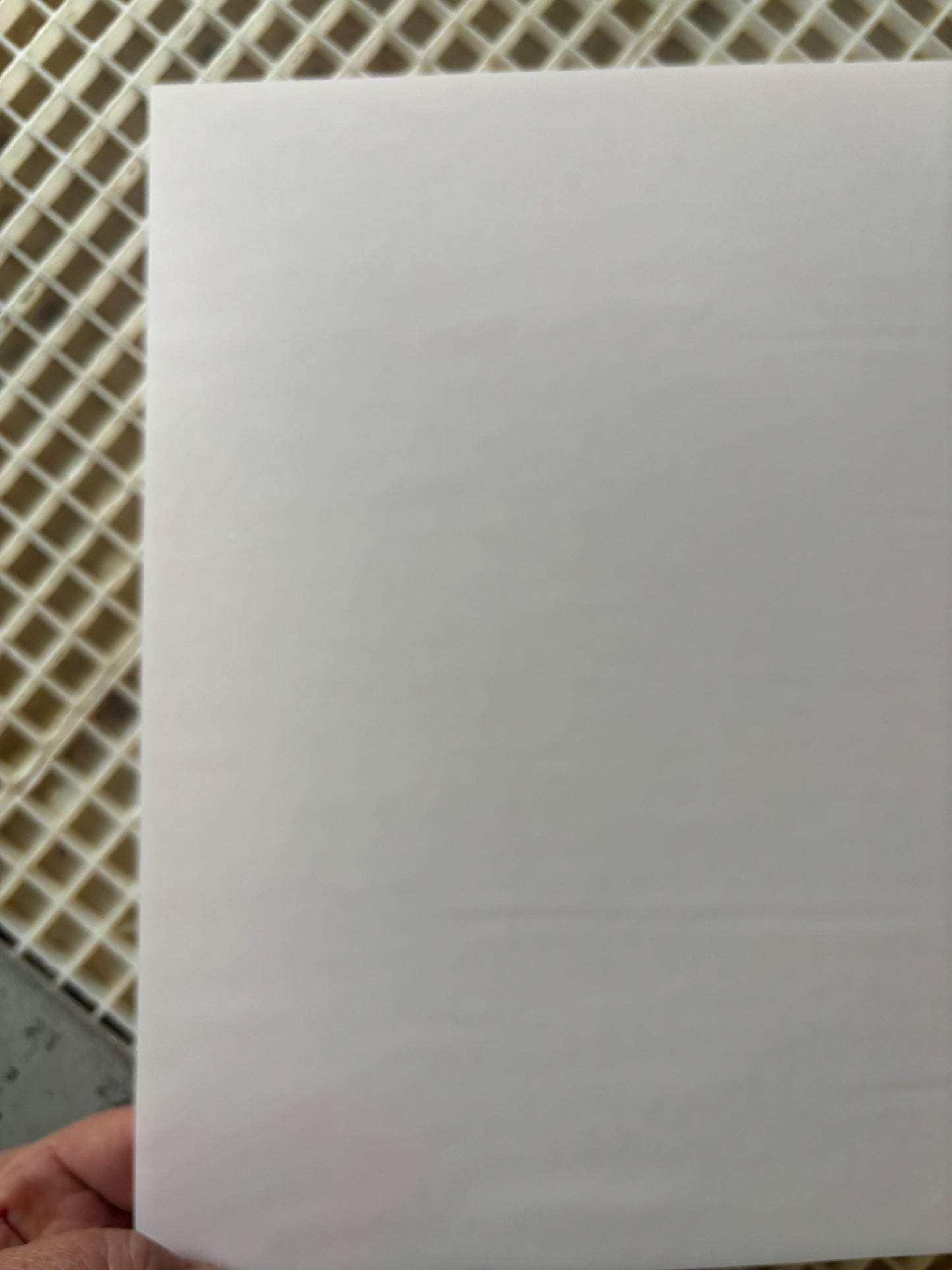 12" x 12" Flesh Opalescent (Armstrong 010)