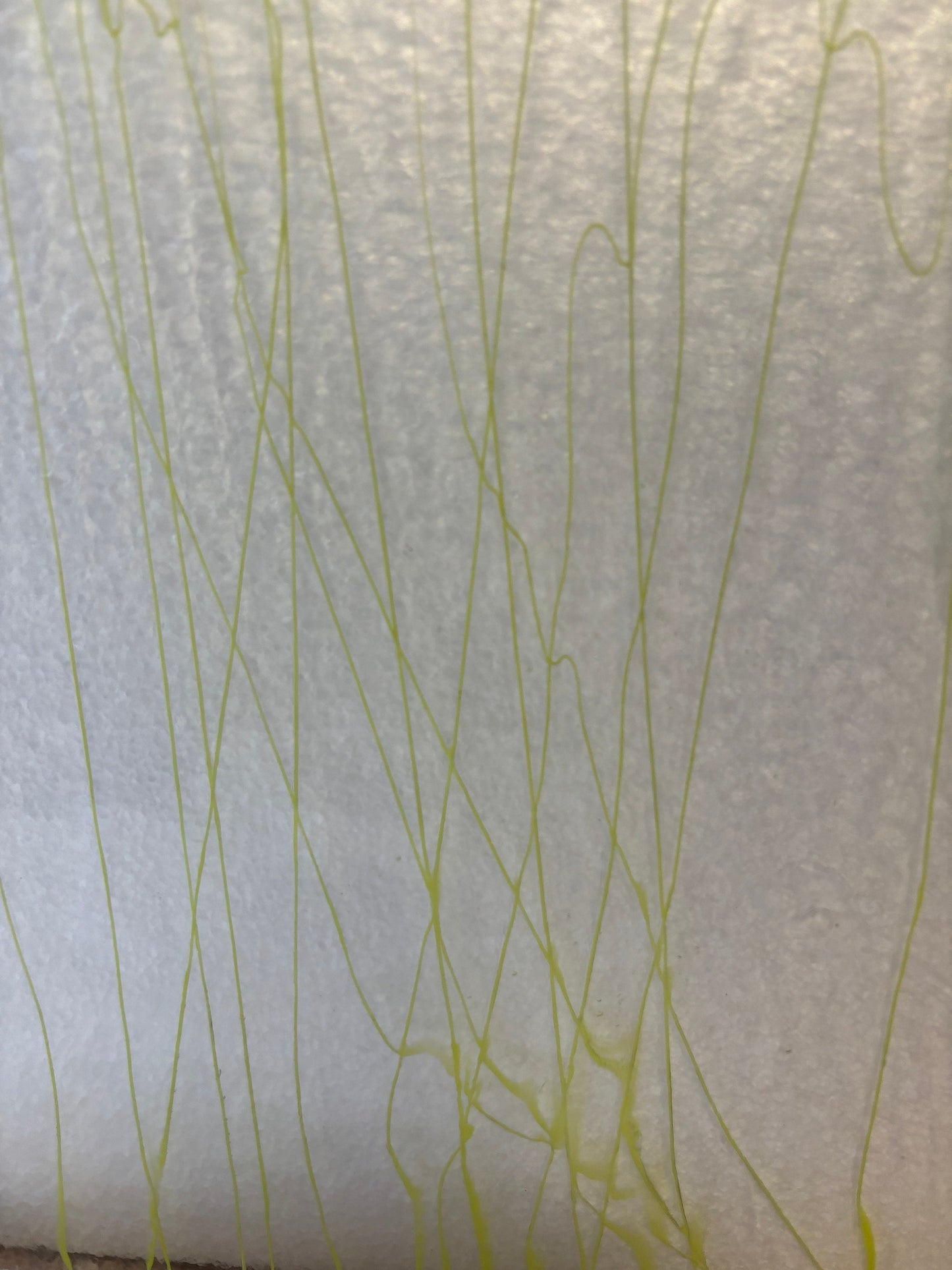 10" x 10" Canary Yellow Streamers on Clear - (Bullseye 4153-0000)