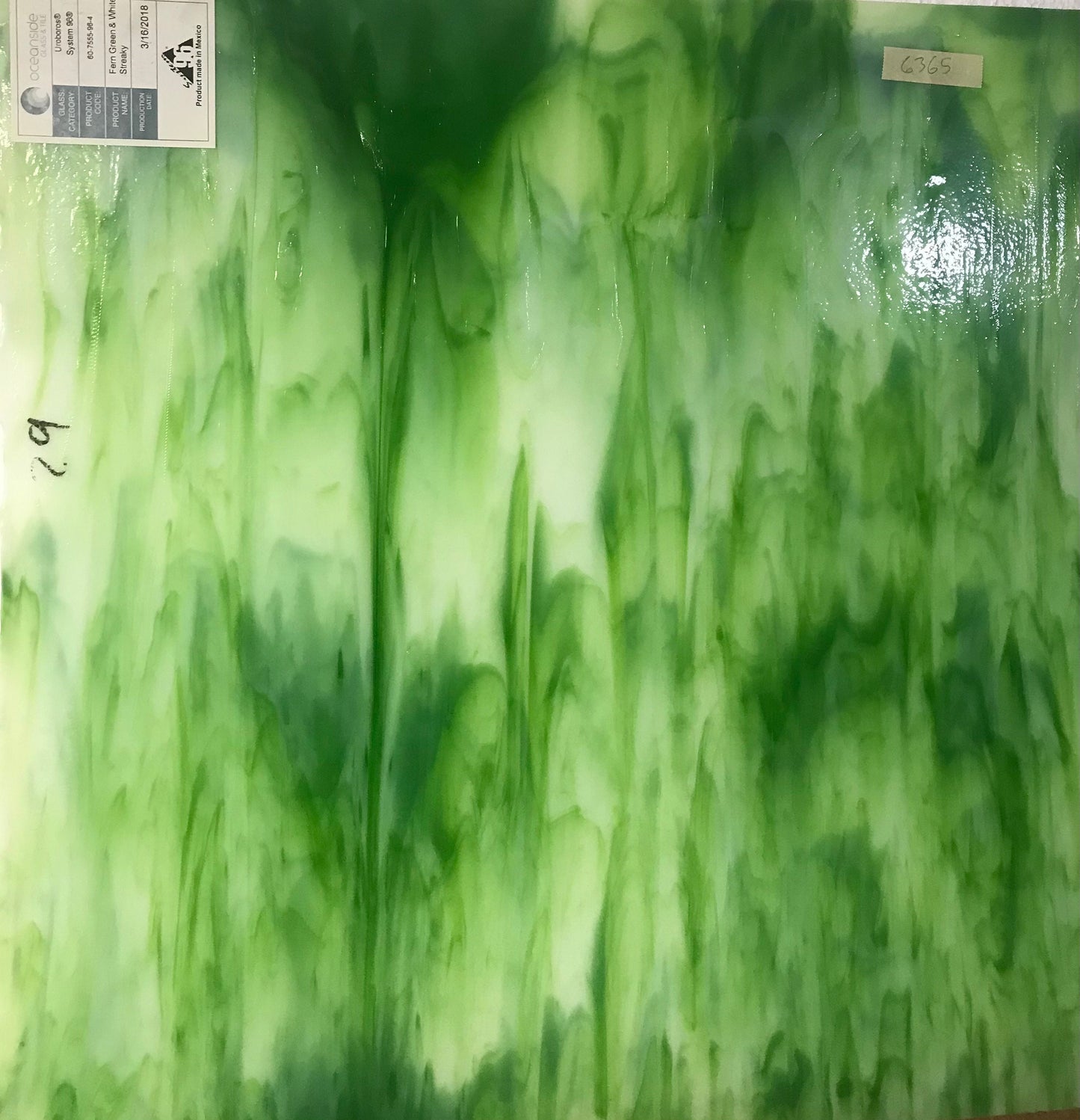12" x 12" Fern Green Opal and White Streaky (Uroboros 60-7555-96)