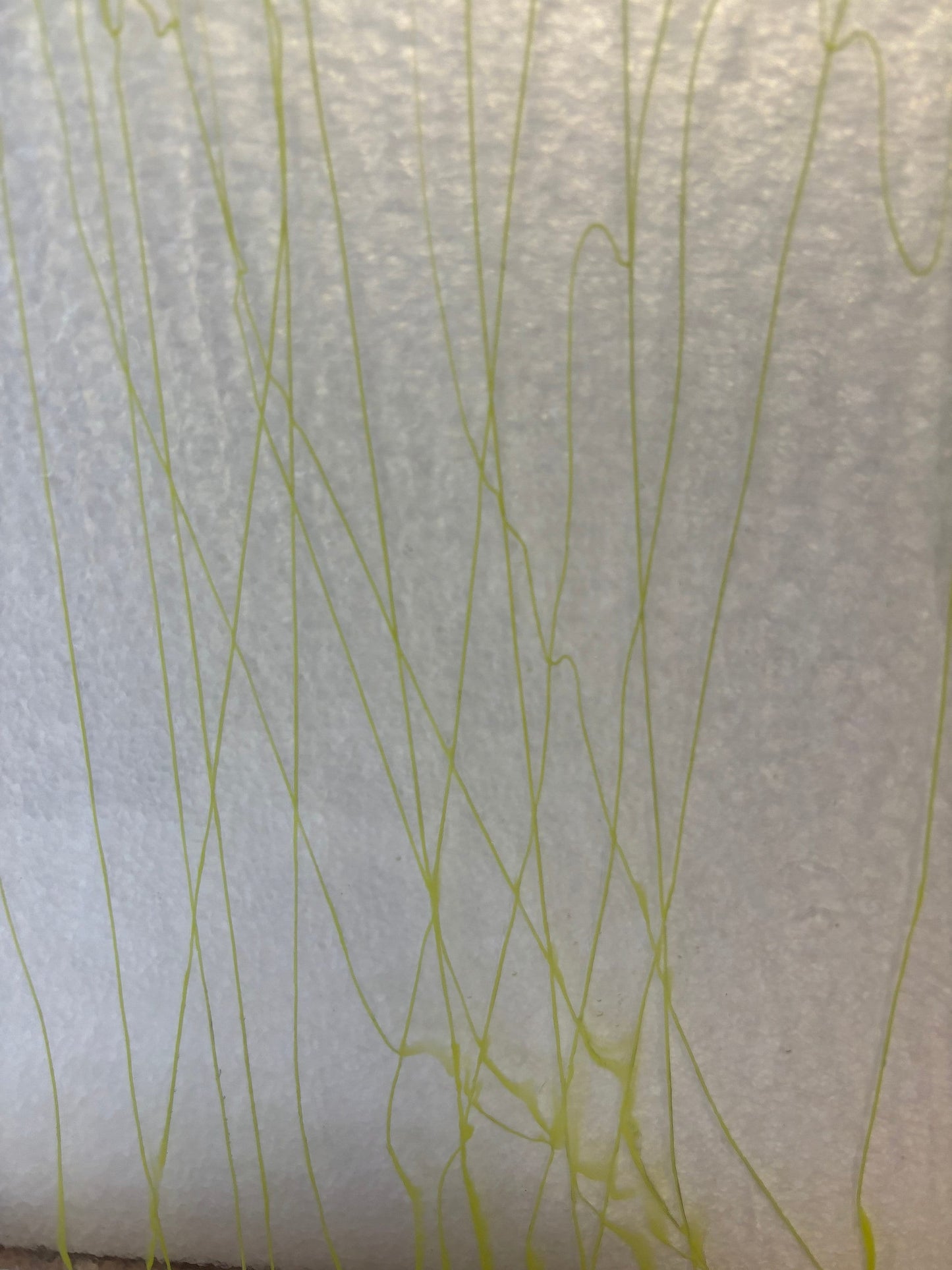 5" x 10" Canary Yellow Streamers on Clear - (Bullseye 4153-0000)