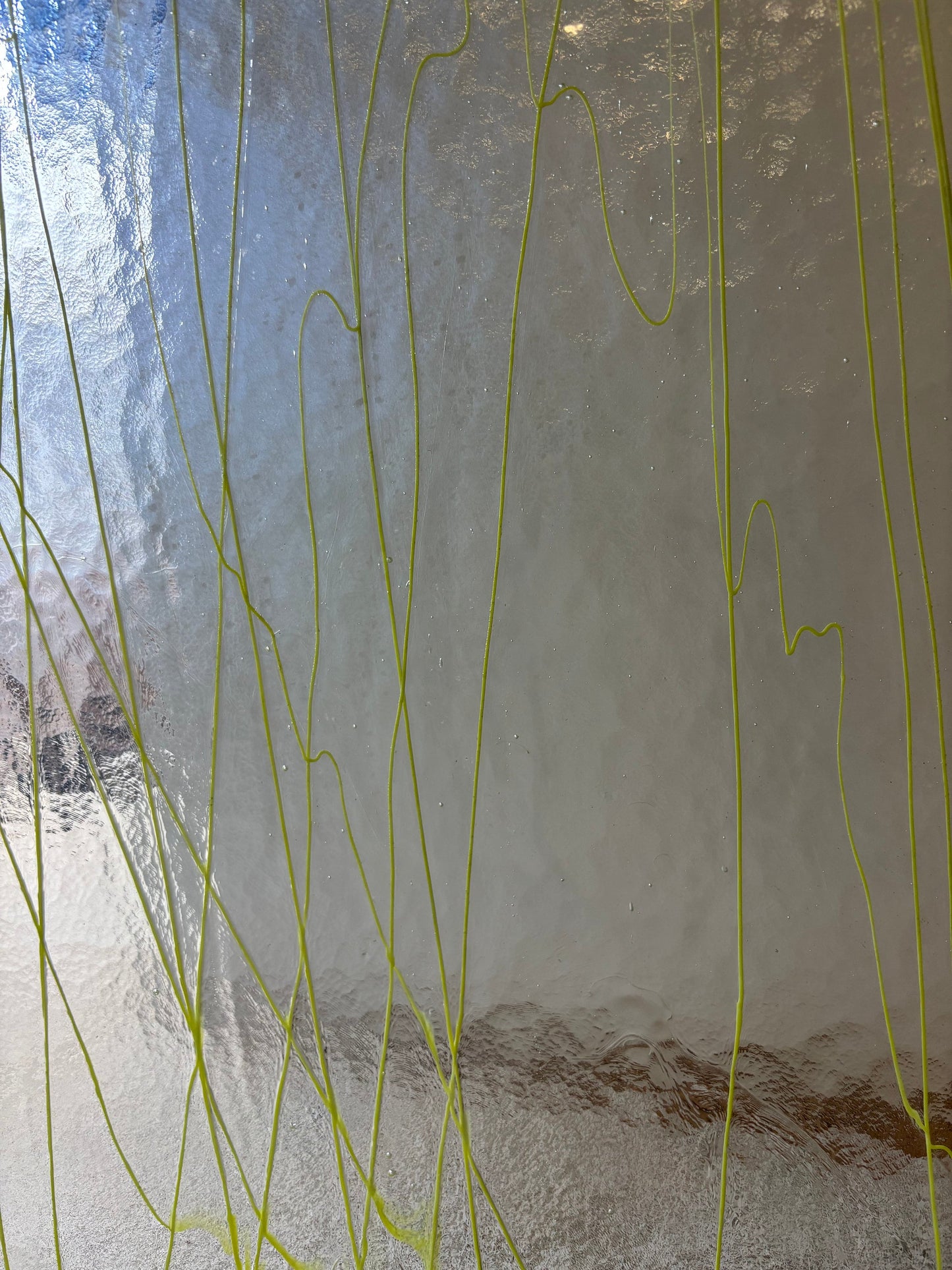 10" x 10" Canary Yellow Streamers on Clear - (Bullseye 4153-0000)